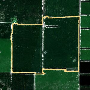 La parcela el 24 de mar de 2026, etapa de pico