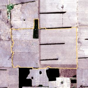 La parcela el 9 de dic de 2025, etapa de siembra