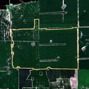 La parcela el 24 de mar de 2026, etapa de pico