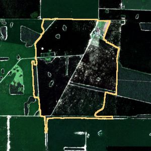 La parcela el 24 de mar de 2026, etapa de pico