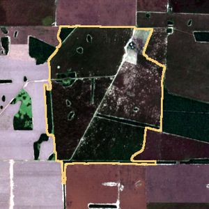 La parcela el 3 de may de 2026, etapa de cosecha