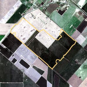 La parcela en seca 2018