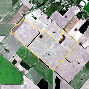 La parcela el 13 de ene de 2026, etapa de emergencia