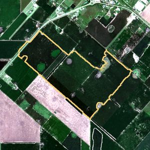 La parcela el 24 de mar de 2026, etapa de pico