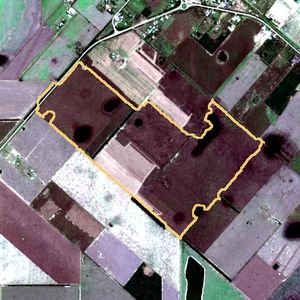 La parcela el 22 de jun de 2026, etapa de rastrojo