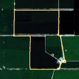 La parcela el 24 de mar de 2026, etapa de pico