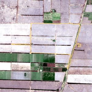 La parcela el 9 de dic de 2025, etapa de siembra
