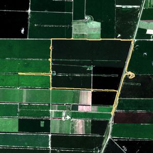 La parcela el 24 de mar de 2026, etapa de pico