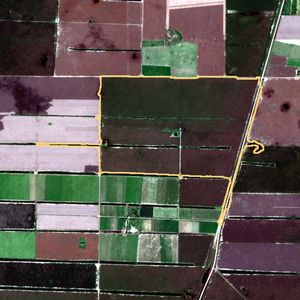 La parcela el 3 de may de 2026, etapa de cosecha