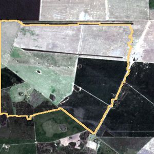 La parcela en seca 2018