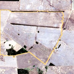 La parcela el 9 de dic de 2025, etapa de siembra