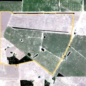 La parcela el 13 de ene de 2026, etapa de emergencia