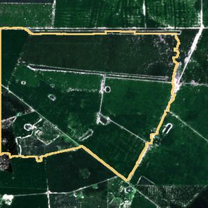 La parcela el 24 de mar de 2026, etapa de pico