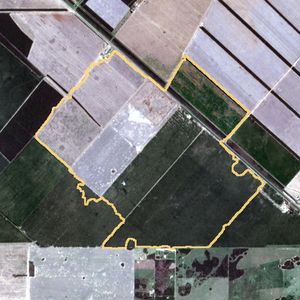 La parcela en seca 2018
