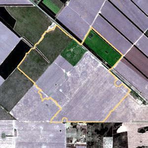 La parcela el 25 de sept de 2025, etapa de barbecho