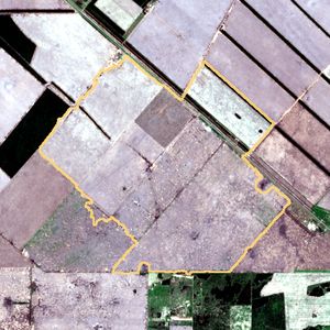 La parcela el 9 de dic de 2025, etapa de siembra