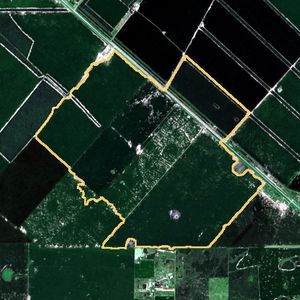 La parcela el 24 de mar de 2026, etapa de pico