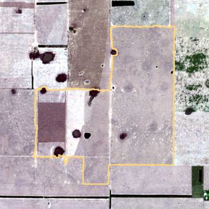 La parcela el 13 de ene de 2026, etapa de emergencia
