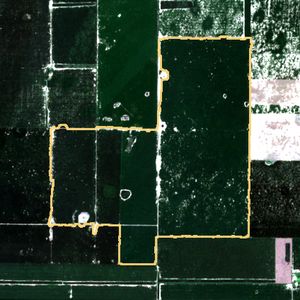 La parcela el 24 de mar de 2026, etapa de pico
