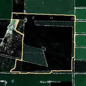 La parcela el 24 de mar de 2026, etapa de pico