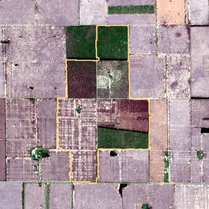 La parcela el 9 de dic de 2025, etapa de siembra