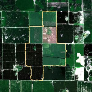 La parcela el 24 de mar de 2026, etapa de pico