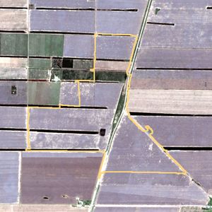 La parcela el 25 de sept de 2025, etapa de barbecho