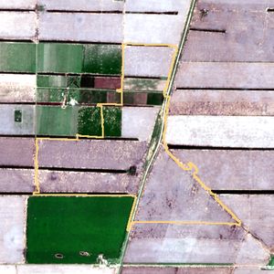 La parcela el 9 de dic de 2025, etapa de siembra