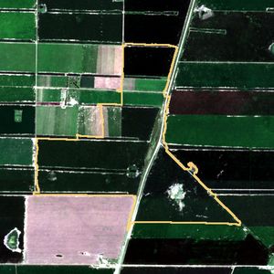 La parcela el 24 de mar de 2026, etapa de pico