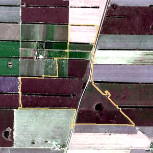 La parcela el 22 de jun de 2026, etapa de rastrojo