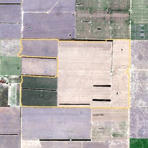 La parcela el 25 de sept de 2025, etapa de barbecho
