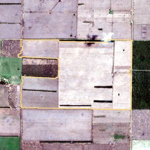 La parcela el 9 de dic de 2025, etapa de siembra