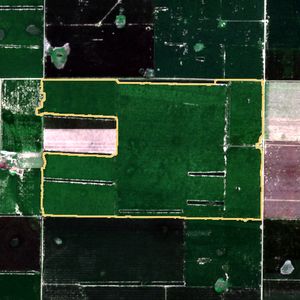 La parcela el 24 de mar de 2026, etapa de pico