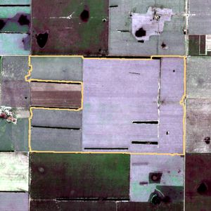 La parcela el 22 de jun de 2026, etapa de rastrojo