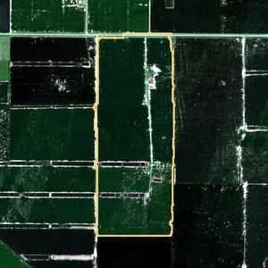 La parcela el 24 de mar de 2026, etapa de pico