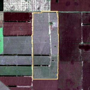La parcela el 22 de jun de 2026, etapa de rastrojo