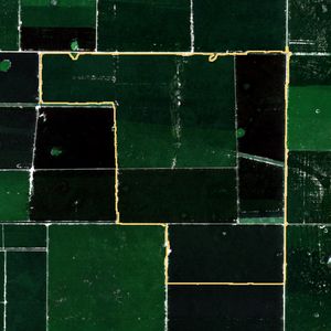 La parcela el 24 de mar de 2026, etapa de pico