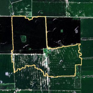 La parcela el 24 de mar de 2026, etapa de pico