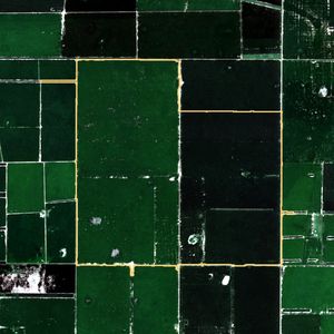 La parcela el 24 de mar de 2026, etapa de pico