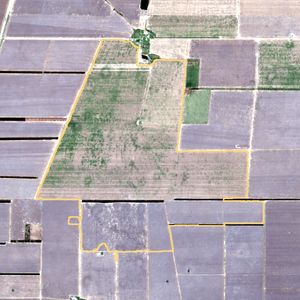 La parcela el 25 de sept de 2025, etapa de barbecho