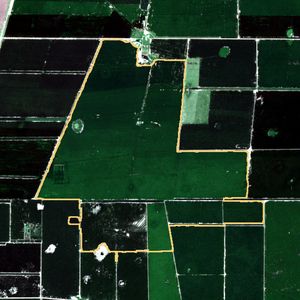La parcela el 24 de mar de 2026, etapa de pico