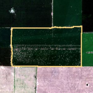 La parcela el 24 de mar de 2026, etapa de pico