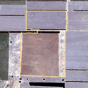 La parcela el 25 de sept de 2025, etapa de barbecho