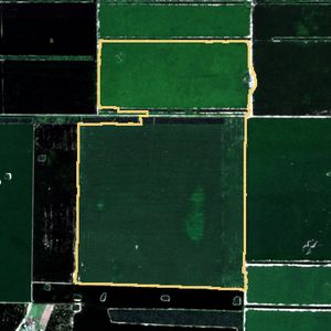 La parcela el 24 de mar de 2026, etapa de pico