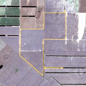 La parcela el 25 de sept de 2025, etapa de barbecho