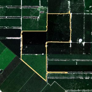 La parcela el 24 de mar de 2026, etapa de pico