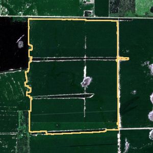 La parcela el 24 de mar de 2026, etapa de pico